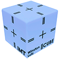 Cube Winston-Lutz (Ceramic)